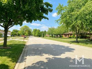 Aero Haven subdivision in New Lenox, IL