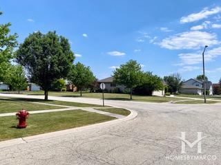 Chadwick subdivision in New Lenox, IL