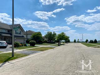 Chadwick subdivision in New Lenox, IL