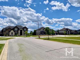 Prairie Ridge Estates subdivision in New Lenox, IL