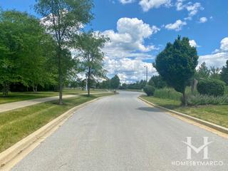 Prairie Ridge Estates subdivision in New Lenox, IL