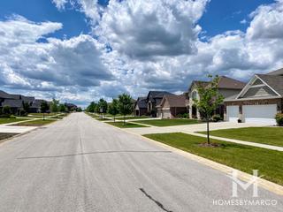 Prairie Ridge Estates subdivision in New Lenox, IL