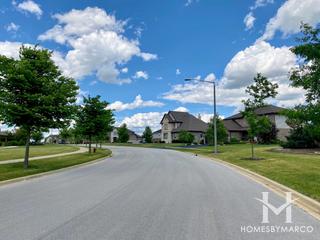 Prairie Ridge Estates subdivision in New Lenox, IL