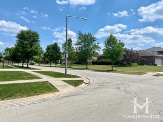 Horizon Meadows subdivision in New Lenox, IL
