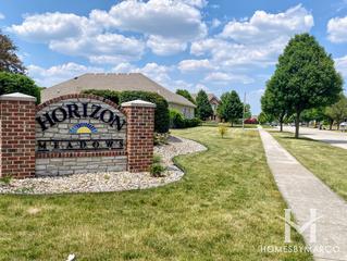 Horizon Meadows