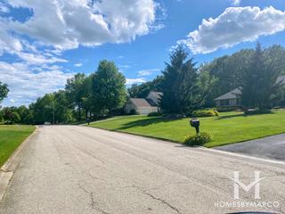 Walker Woods subdivision in New Lenox, IL