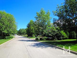 Meadows of Birch Lake