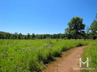Meadows of Birch Lake subdivision in Lincolnshire, IL