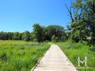 Meadows of Birch Lake subdivision in Lincolnshire, IL