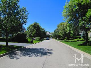 Meadows of Birch Lake subdivision in Lincolnshire, IL