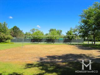 Meadows of Birch Lake subdivision in Lincolnshire, IL