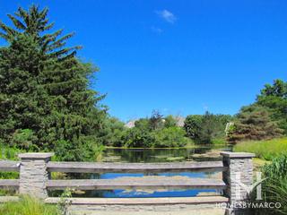 Meadows of Birch Lake subdivision in Lincolnshire, IL