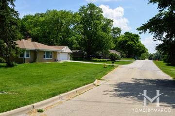 Buena Vista Estates subdivision in Glen Ellyn, IL