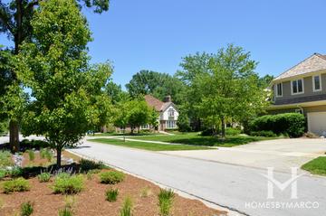 Danby Woods subdivision in Glen Ellyn, IL