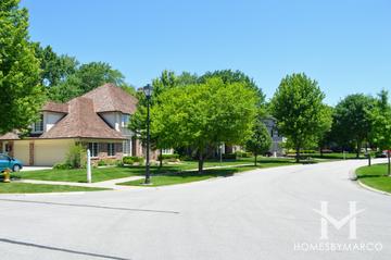 Photos of Danby Woods subdivision in Glen Ellyn, IL