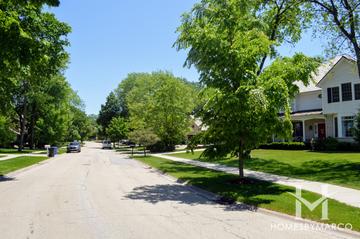 Stacy Woods subdivision in Glen Ellyn, IL