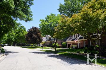 Stacy Woods subdivision in Glen Ellyn, IL