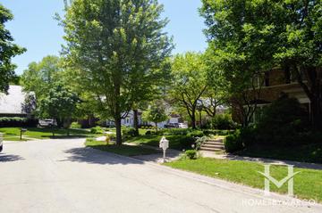 Stacy Woods subdivision in Glen Ellyn, IL