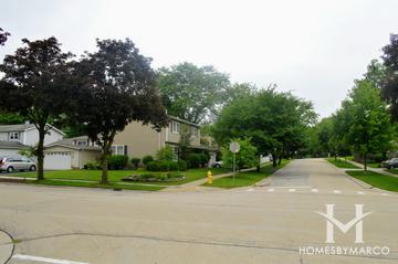 Glen Ellyn Manor subdivision in Glen Ellyn, IL