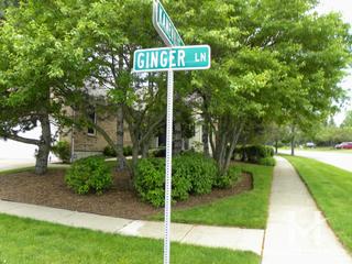 Ginger Lane subdivision in Geneva, IL