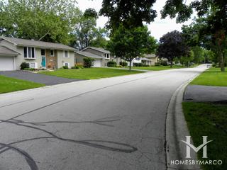 Green Willow subdivision in Geneva, IL
