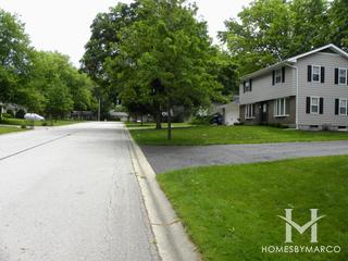 Green Willow subdivision in Geneva, IL