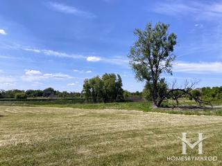 White Birch Meadows subdivision in Hawthorn Woods, IL