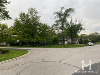 Golfview Hills subdivision in Hinsdale, IL