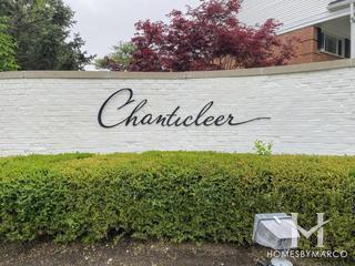 Chanticleer