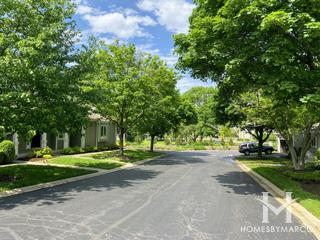 Grant Village subdivision in Hinsdale, IL