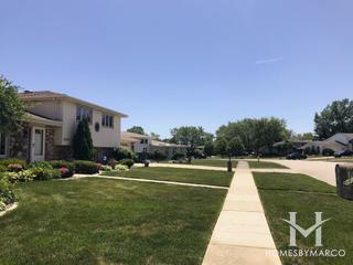 Derby Meadows subdivision in Homer Glen, IL