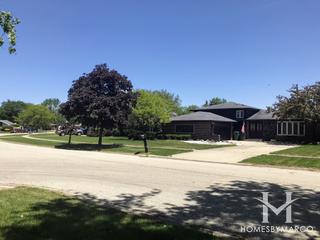 Derby Meadows subdivision in Homer Glen, IL