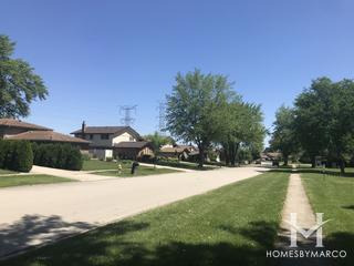 Derby Hills subdivision in Homer Glen, IL