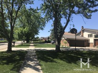 Derby Hills subdivision in Homer Glen, IL