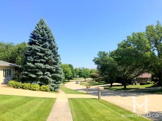 Old Oak Estates subdivision in Homer Glen, IL