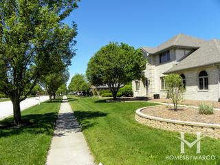 Woodbine subdivision in Homer Glen, IL