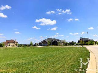 Glenview Walk Estates subdivision in Homer Glen, IL