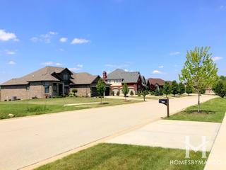 Glenview Walk Estates subdivision in Homer Glen, IL
