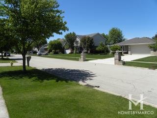 Saddle Brook subdivision in Homer Glen, IL