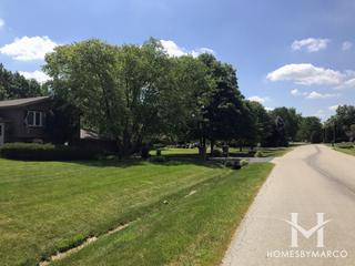 Photos of Stately Oaks subdivision in Homer Glen, IL