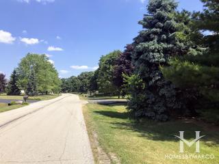 Stately Oaks subdivision in Homer Glen, IL