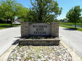 Photos of Woodbine West subdivision in Homer Glen, IL