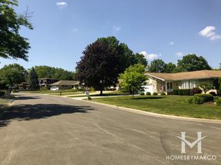 Chickasaw Hills subdivision in Homer Glen, IL