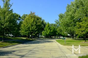 Photos of Woodview Acres subdivision in Lake Forest, IL