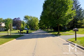 Woodview Acres subdivision in Lake Forest, IL