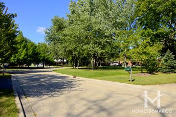 Woodview Acres subdivision in Lake Forest, IL