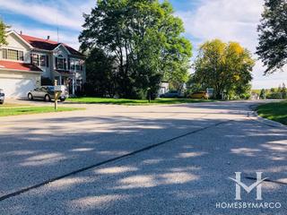 The Heights subdivision in Lake Zurich, IL