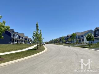 Townes Of Cedar Ridge subdivision in Lockport, IL