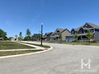 Townes Of Cedar Ridge subdivision in Lockport, IL