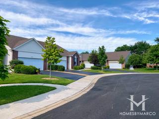 Lago Vista subdivision in Lockport, IL